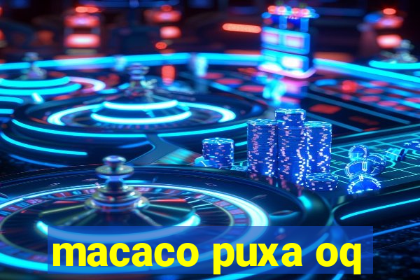 macaco puxa oq